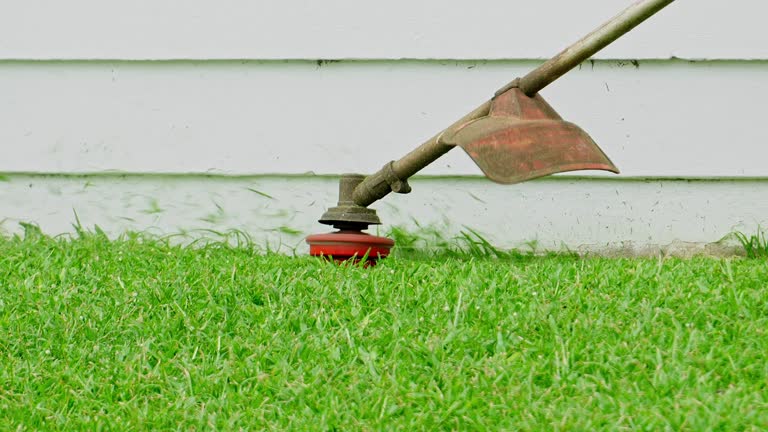 Best Lawn Maintenance Plans  in Mount Sinai, NY