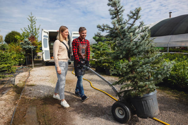 Best Storm Damage Tree Cleanup  in Mount Sinai, NY